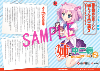 姉ちゃん2SSペーパー