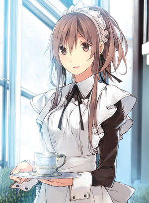 俺、お金持ちになったらこんなメイドさん雇うんだ……