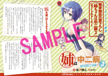 姉ちゃんは中二病3 アニメイト様特典SS